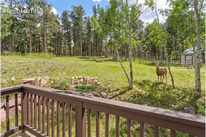 1157 Ptarmigan Drive, Woodland Park, CO 80863 - Photo 35