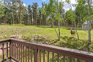 1157 Ptarmigan Dr, Woodland Park, CO 80863 - Photo 35