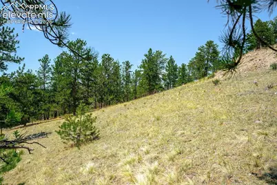 56 Dallas Park Circle, Florissant, CO 80816 - Photo 9
