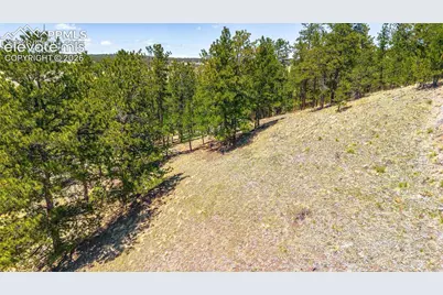 56 Dallas Park Circle, Florissant, CO 80816 - Photo 3