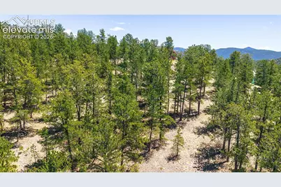 56 Dallas Park Circle, Florissant, CO 80816 - Photo 11