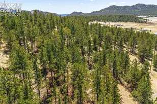 56 Dallas Park Cir, Florissant, CO 80816 - Photo 1