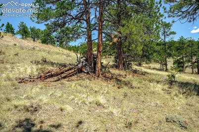 56 Dallas Park Circle, Florissant, CO 80816 - Photo 21