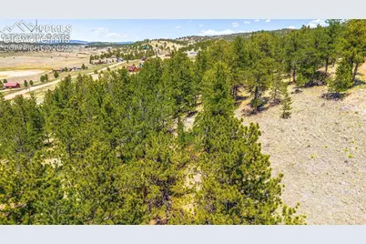 56 Dallas Park Circle, Florissant, CO 80816 - Photo 5