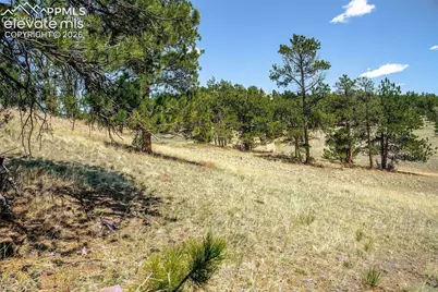 56 Dallas Park Circle, Florissant, CO 80816 - Photo 7