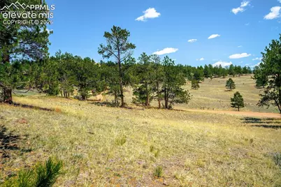 56 Dallas Park Circle, Florissant, CO 80816 - Photo 19