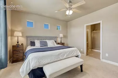 8492 Artesian Springs Point, Colorado Springs, CO 80920 - Photo 21