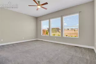 6524 Courtland Pl, Colorado Springs, CO 80924 - Photo 19
