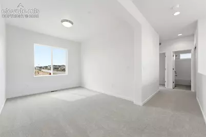 9283 Old Divide Drive, Colorado Springs, CO 80908 - Photo 11