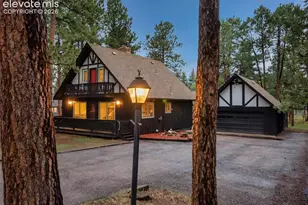 220 Wildflower Dr, Woodland Park, CO 80863 - Photo 3