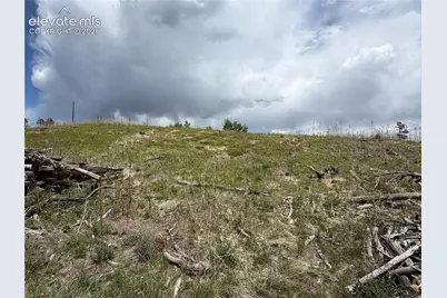 13810 Wildoak Drive, Black Forest, CO 80908 - Photo 27