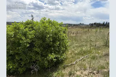 13810 Wildoak Drive, Black Forest, CO 80908 - Photo 19