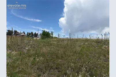 13810 Wildoak Drive, Black Forest, CO 80908 - Photo 29