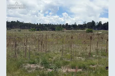 13810 Wildoak Drive, Black Forest, CO 80908 - Photo 9