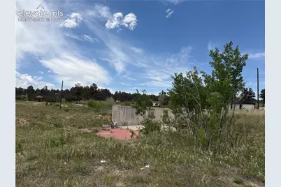 13810 Wildoak Drive, Black Forest, CO 80908 - Photo 17