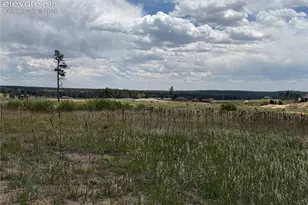 13810 Wildoak Dr, Black Forest, CO 80908 - Photo 1