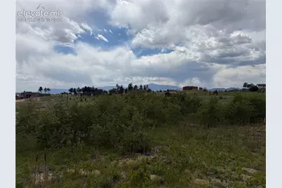 13810 Wildoak Drive, Black Forest, CO 80908 - Photo 7