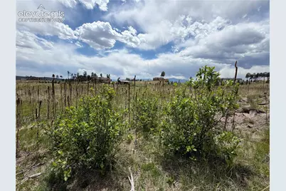13810 Wildoak Drive, Black Forest, CO 80908 - Photo 25