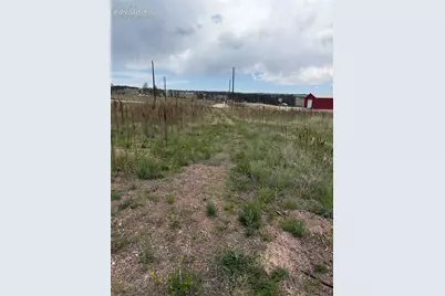 13810 Wildoak Drive, Black Forest, CO 80908 - Photo 5