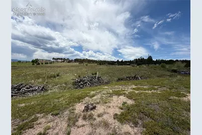 13810 Wildoak Drive, Black Forest, CO 80908 - Photo 3