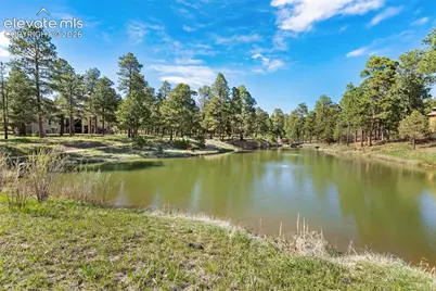 4415 Hidden Rock Road, Colorado Springs, CO 80908 - Photo 49