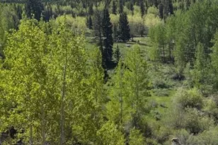 124 Yorktown Rd, Cripple Creek, CO 80813 - Photo 1