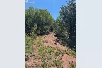 124 Yorktown Road, Cripple Creek, CO 80813 - Photo 7
