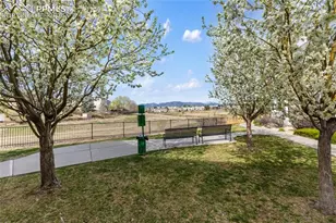 7309 Sandy Springs Point, Fountain, CO 80817 - Photo 29