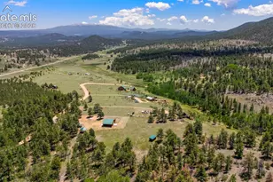546 Pulver Rd, Lake George, CO 80827 - Photo 43