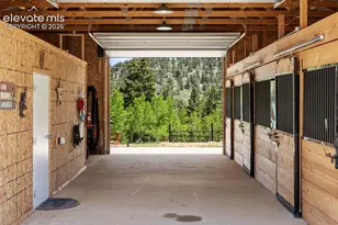 546 Pulver Rd, Lake George, CO 80827 - Photo 29