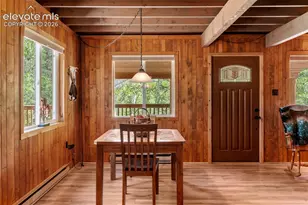 546 Pulver Rd, Lake George, CO 80827 - Photo 9