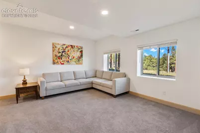 1382 Ridgestone Drive, Woodland Park, CO 80863 - Photo 39