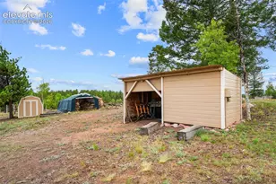 55 Crystal Peak Dr, Lake George, CO 80827 - Photo 27
