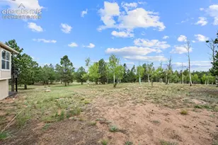 55 Crystal Peak Dr, Lake George, CO 80827 - Photo 29