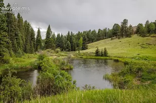 6100 Elk Vly Rd, Divide, CO 80814 - Photo 45