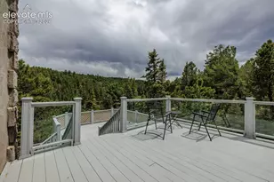 6100 Elk Vly Rd, Divide, CO 80814 - Photo 41