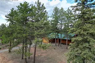 170 Druid Trail, Florissant, CO 80814 - Photo 39