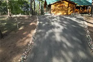170 Druid Trail, Florissant, CO 80814 - Photo 45