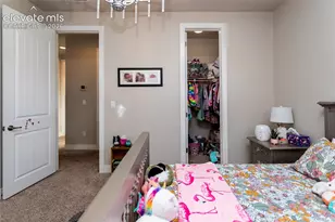 11560 Spectacular Bid Cir, Colorado Springs, CO 80921 - Photo 21