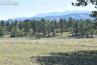431 High Chateau Road, Florissant, CO 80816 - Photo 43