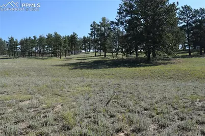 431 High Chateau Road, Florissant, CO 80816 - Photo 27