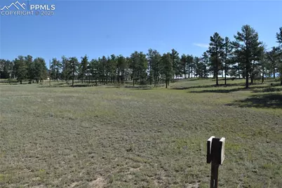 431 High Chateau Road, Florissant, CO 80816 - Photo 31