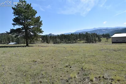 431 High Chateau Road, Florissant, CO 80816 - Photo 39