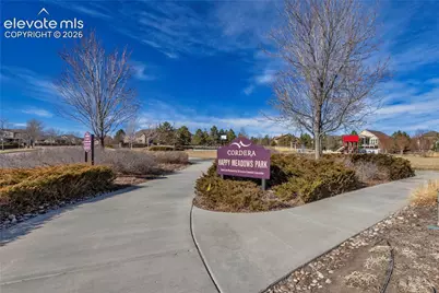 5066 Petrified Forest Trail, Colorado Springs, CO 80924 - Photo 29