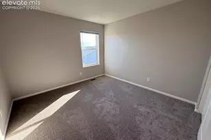 9729 Coyote Run Trail, Colorado Springs, CO 80925 - Photo 43