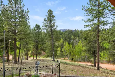 126 Aspen Circle, Divide, CO 80814 - Photo 29