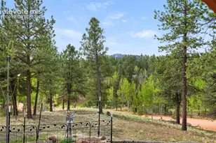 126 Aspen Cir, Divide, CO 80814 - Photo 29