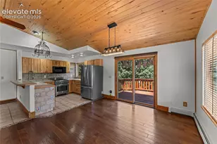 101 Heather Cir, Divide, CO 80814 - Photo 9
