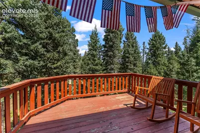 101 Heather Circle, Divide, CO 80814 - Photo 37