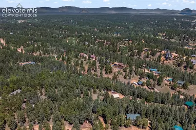 101 Heather Circle, Divide, CO 80814 - Photo 41